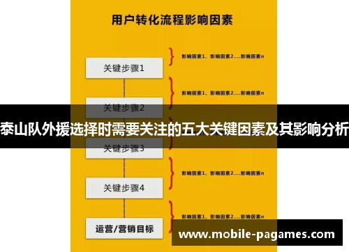 泰山队外援选择时需要关注的五大关键因素及其影响分析