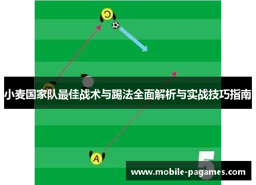 小麦国家队最佳战术与踢法全面解析与实战技巧指南