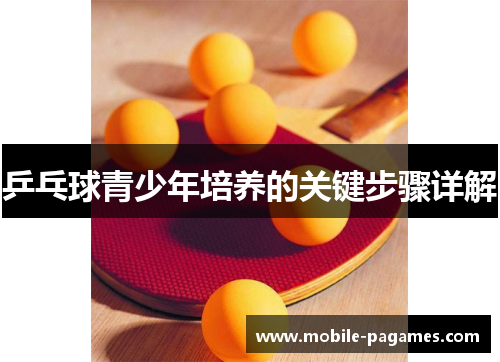 乒乓球青少年培养的关键步骤详解