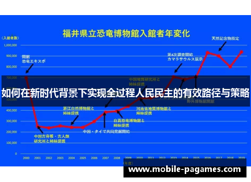 如何在新时代背景下实现全过程人民民主的有效路径与策略