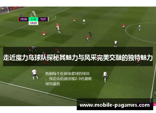 走近魔力鸟球队探秘其魅力与风采完美交融的独特魅力 走近魔力鸟球队探秘其魅力与风采完美交融的独特魅力