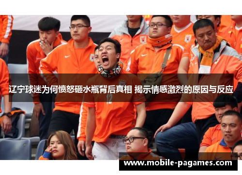 辽宁球迷为何愤怒砸水瓶背后真相 揭示情感激烈的原因与反应 辽宁球迷为何愤怒砸水瓶背后真相 揭示情感激烈的原因与反应