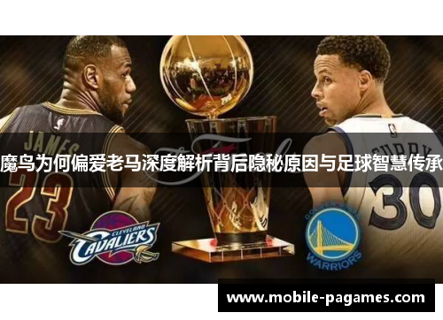 魔鸟为何偏爱老马深度解析背后隐秘原因与足球智慧传承