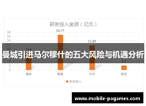 曼城引进马尔穆什的五大风险与机遇分析